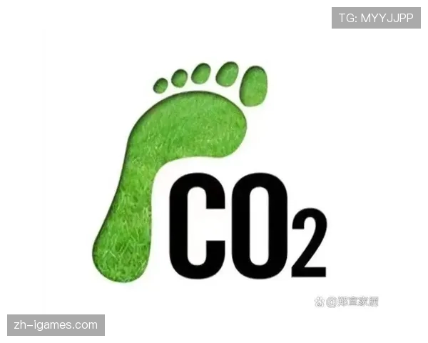 环保举措:全明星周末推行可持续发展计划减少碳足迹